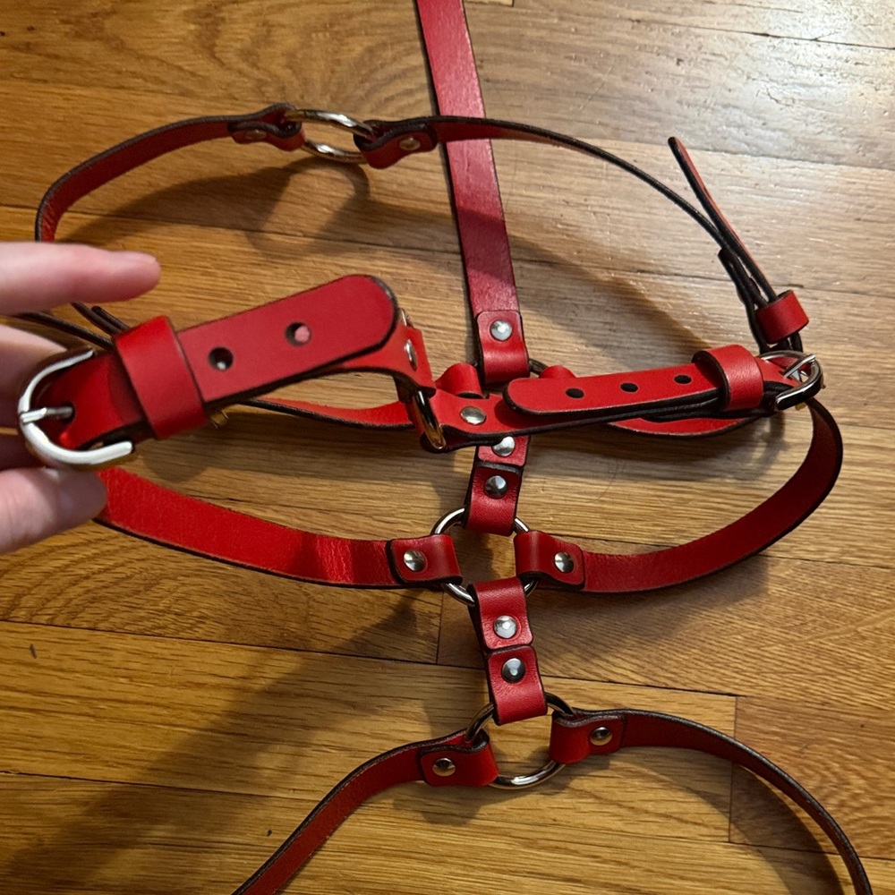 0770 Roxane Red Leather Harness - Picture 10 of 15